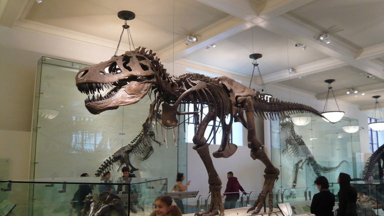 Los dinosaurios más grandes de la historia: hasta 18 metros de alto